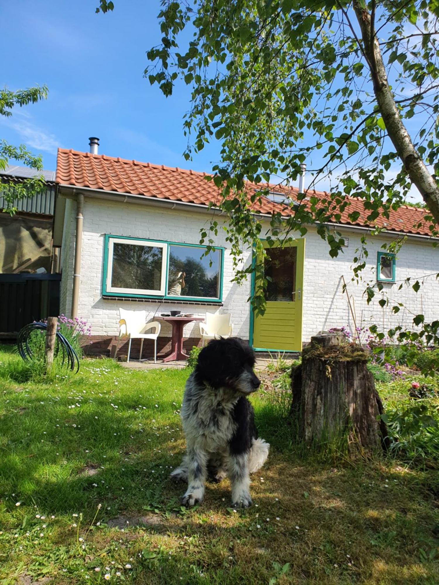 Willa Huisje Fiederels Bant Zewnętrze zdjęcie